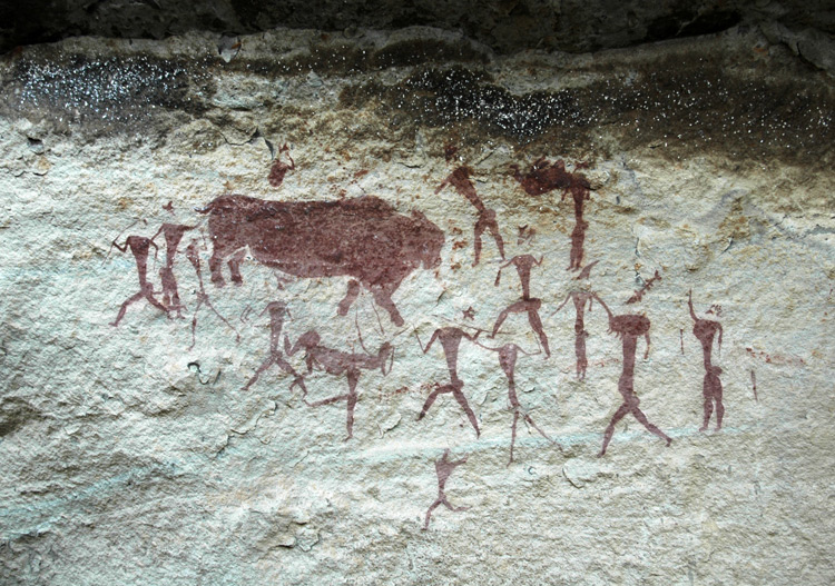 bushman rhinoceros drawing south africa bushman rhinoceros drawing south africa
