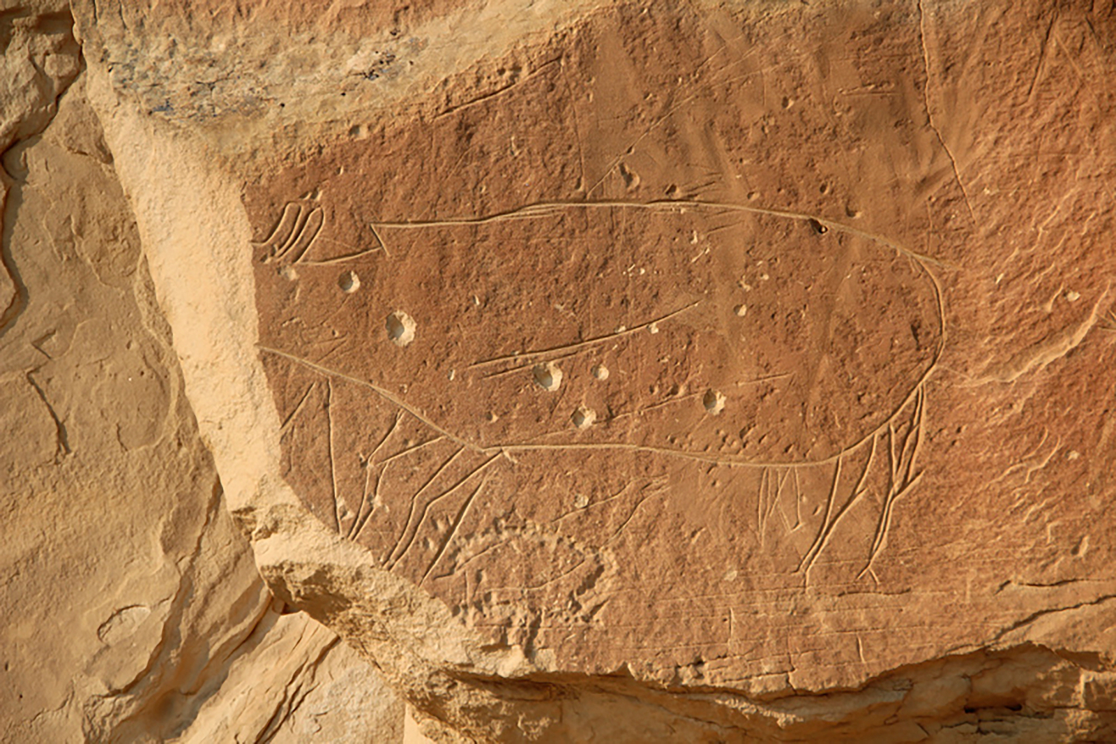 Petroglyphs Pictographs Rock Art Writing-On-Stone Áísínai'pi Provincial Park Canada