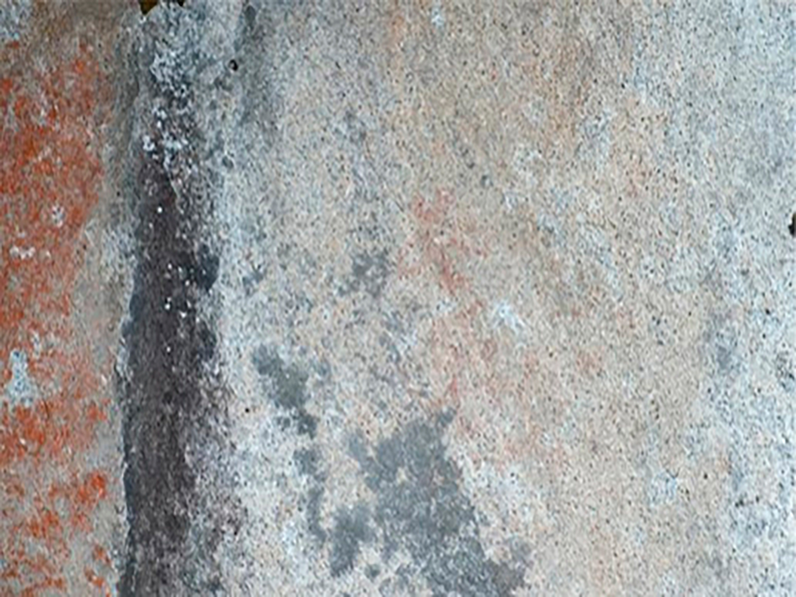 Rock Art of Wuikinuxv Territory Central Coast British Columbia Canada Rock Art Petroglyphs Pictographs
