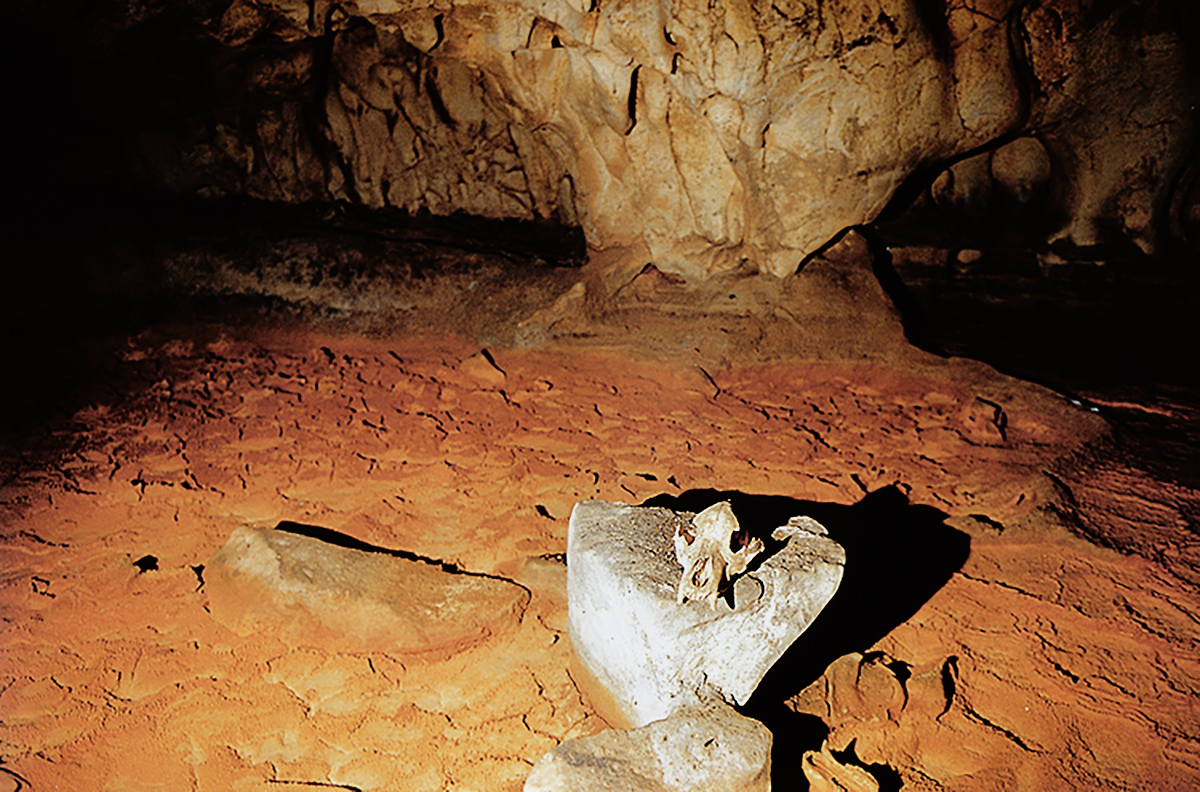 Bear Skull Altar Chauvet Cave Paintings Rock Art France Bradshaw Foundation