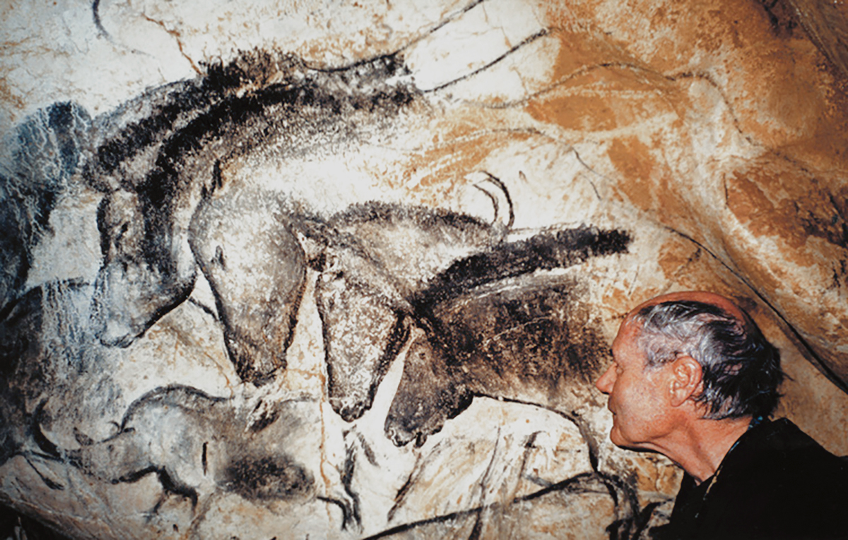 John Robinson examines The Panel of the Horses with the two rhinoceroses in the Chauvet cave France Bradshaw Foundation
