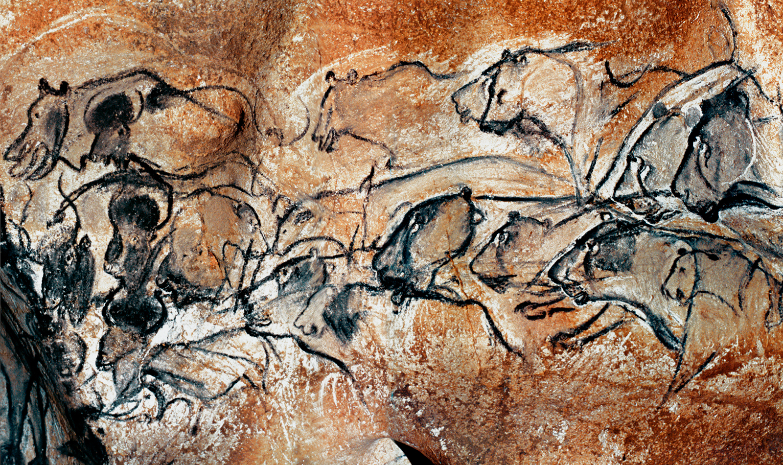 Panel of the Lions Chauvet Cave Paintings Rock Art France Bradshaw Foundation