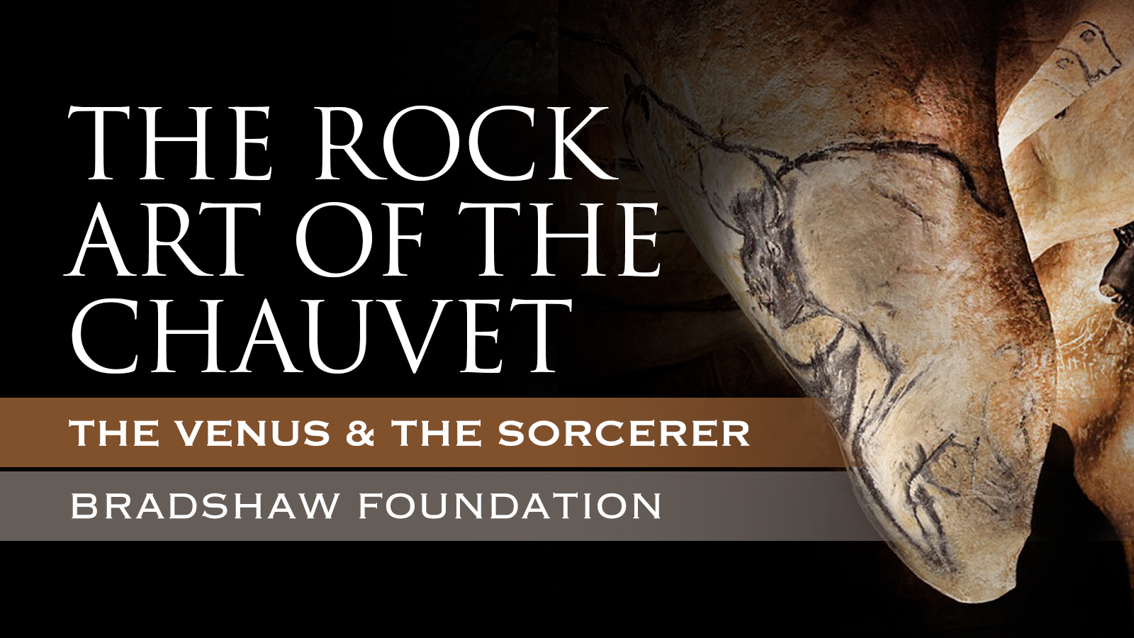 The Chauvet Cave - The Venus and the Sorcerer