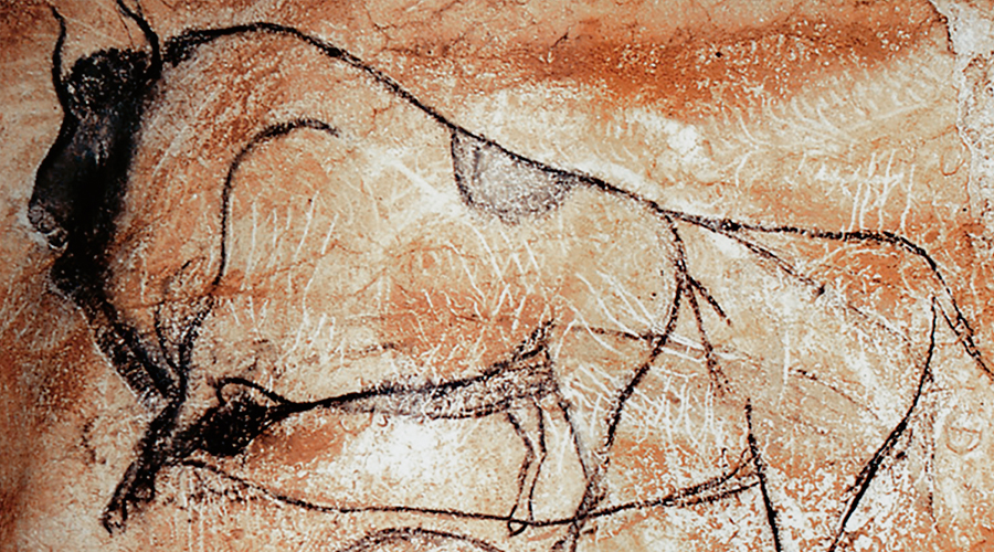 Chauvet Cave Art Paintings Gallery
