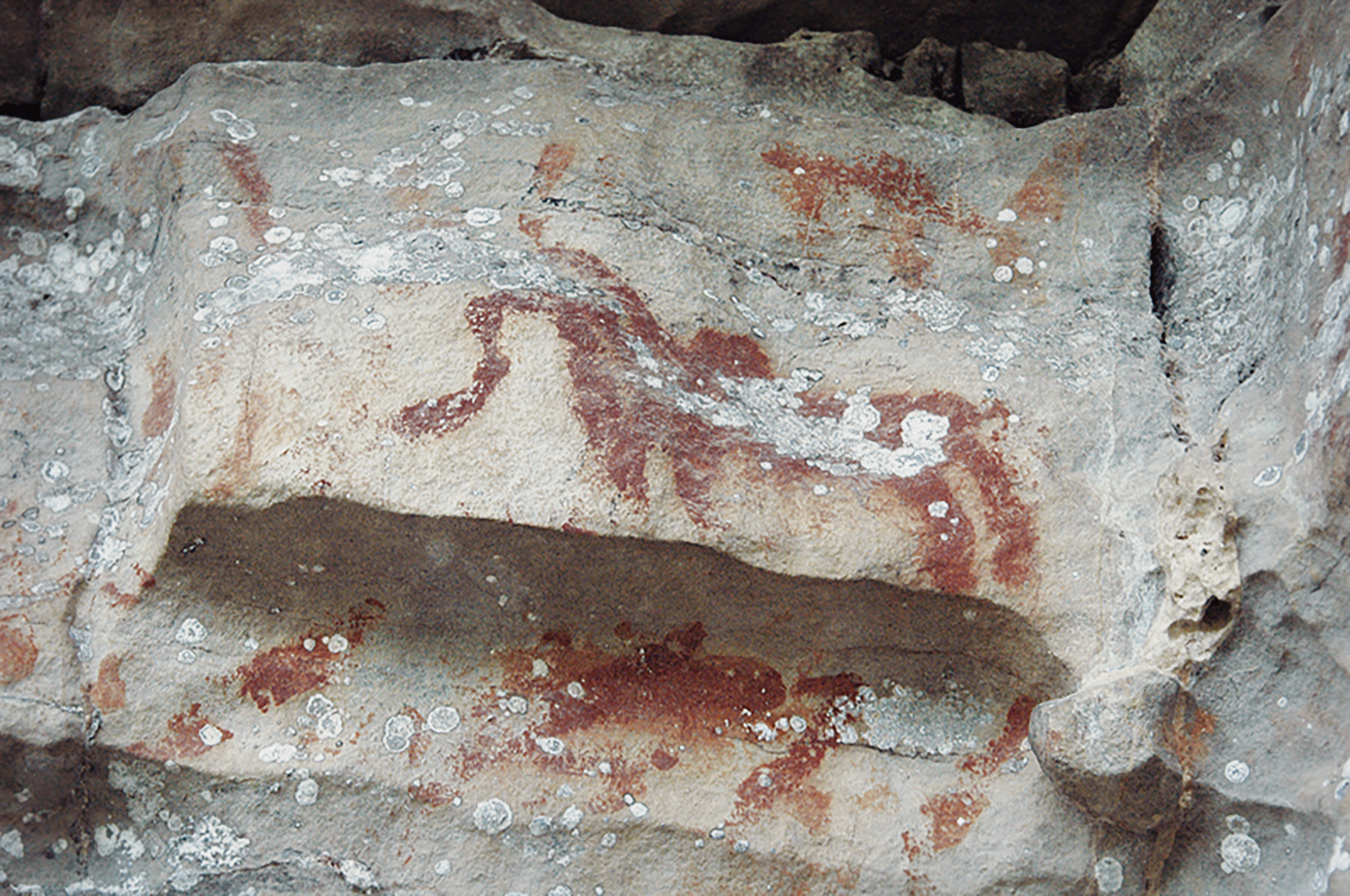 Huashan Rock Art Petroglyph Environmental Protection China