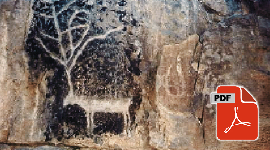 Life in Rock Art China Archaeology