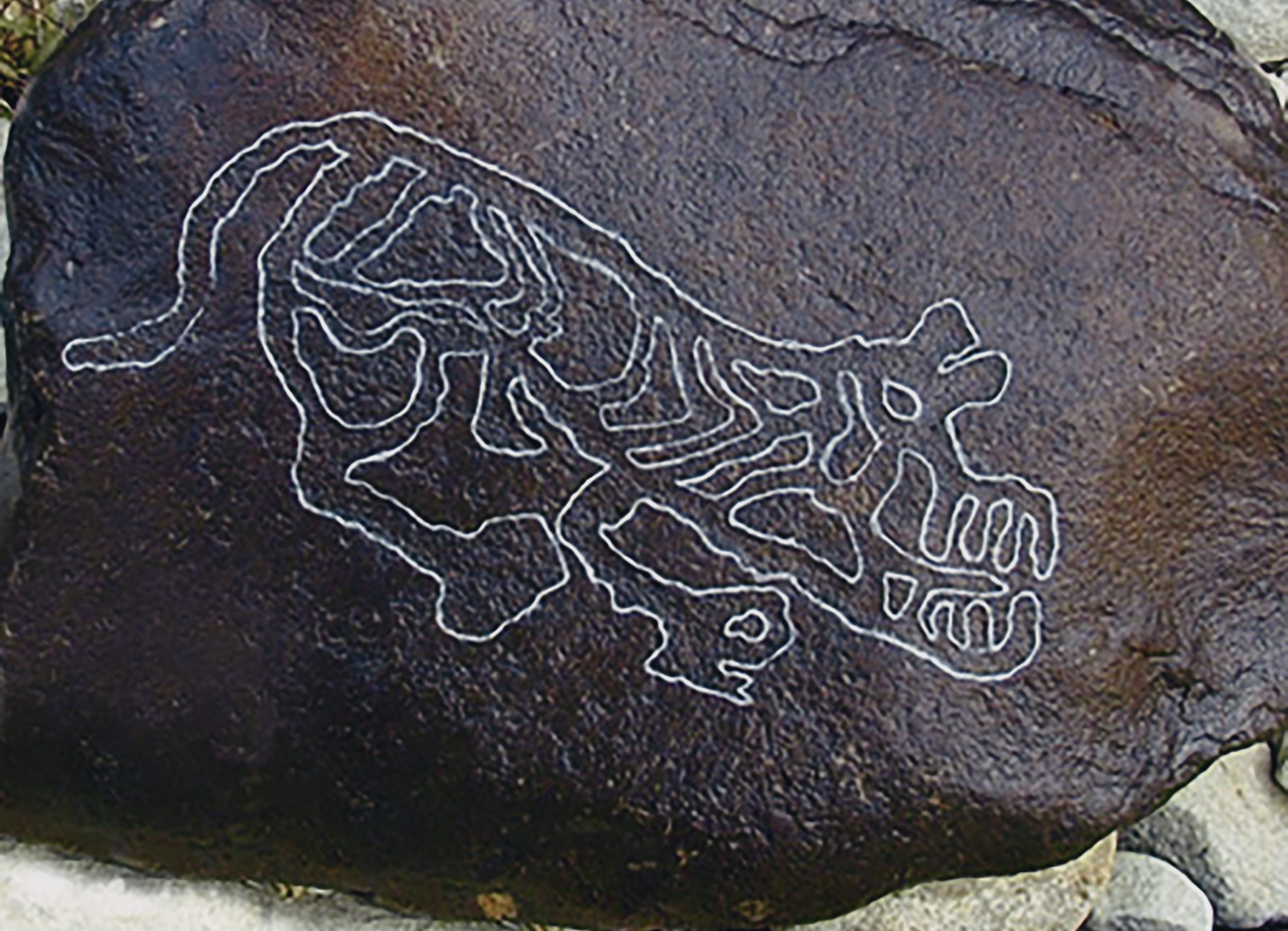 Tiger China Rock Art