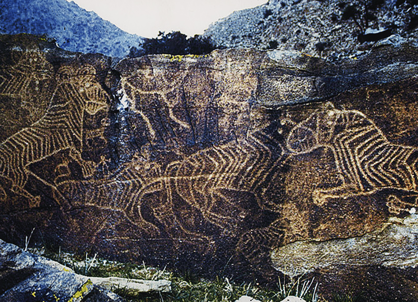 Rock Art The Tiger in Chinese Culture China Archaeology