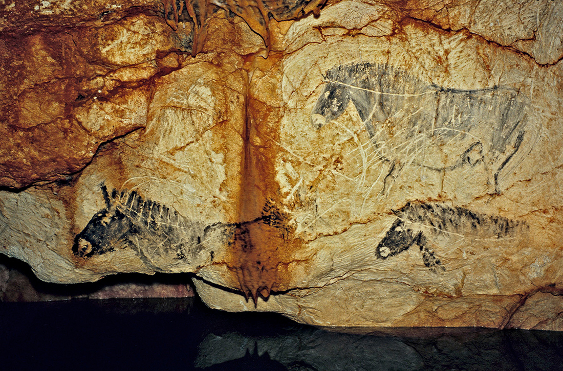 Panel of the Black Horses discovered in 1985 by diver Henri Cosquer