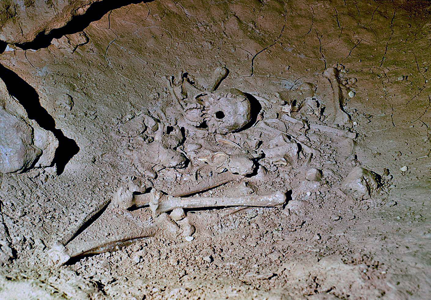 Human skeletons in Cussac Cave