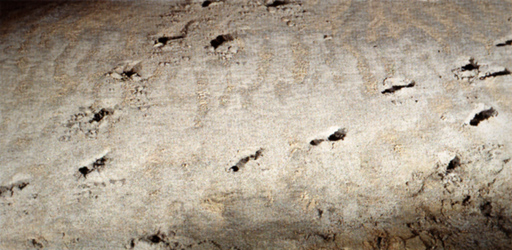 Footprints in the Niauz Cave
