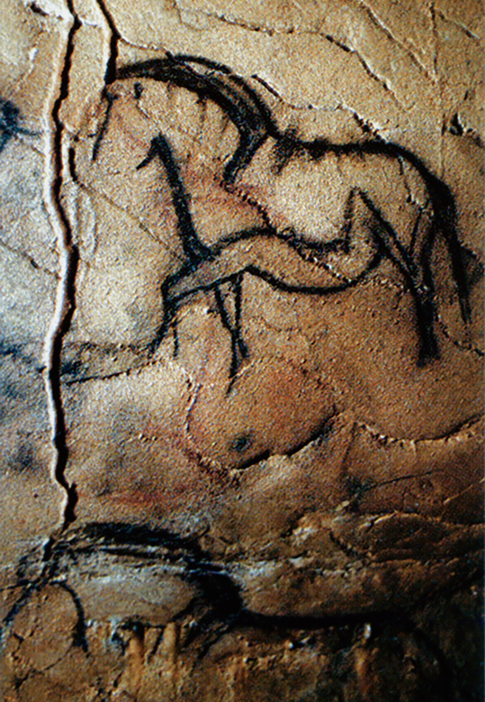 Horses in the Cave of Le Portel
