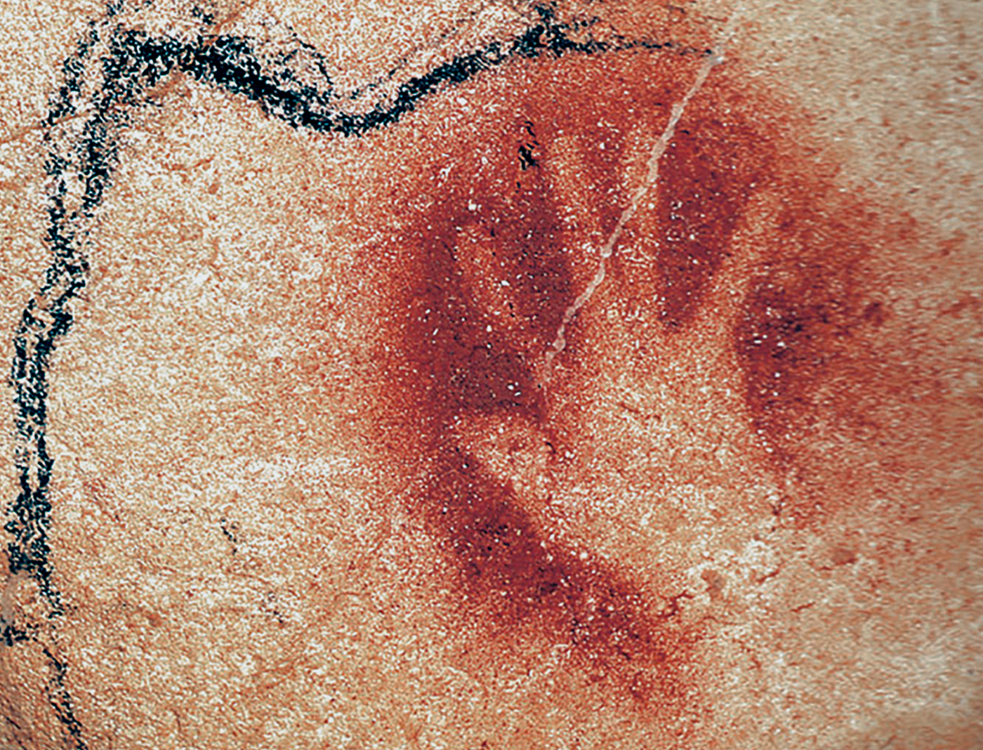 Red hand stencil from the Chauvet Cave