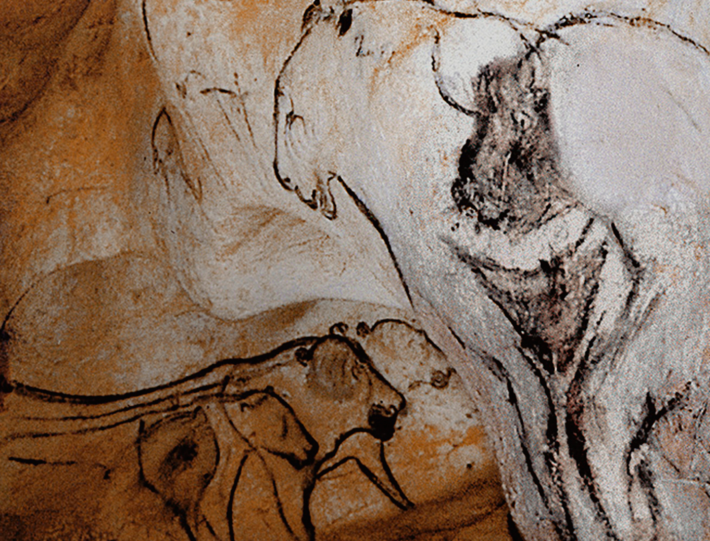 Sorcerer from the Chauvet Cave