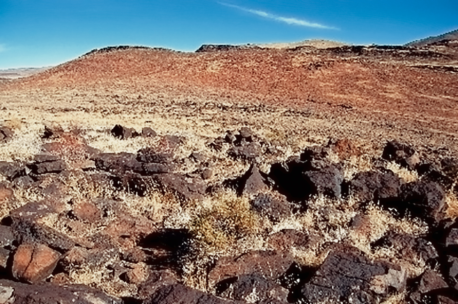 The north-south trending Coso Range consists mainly of rhyolitic domes & outcrops of volcanic rock cut by washes & canyons of various sizes
