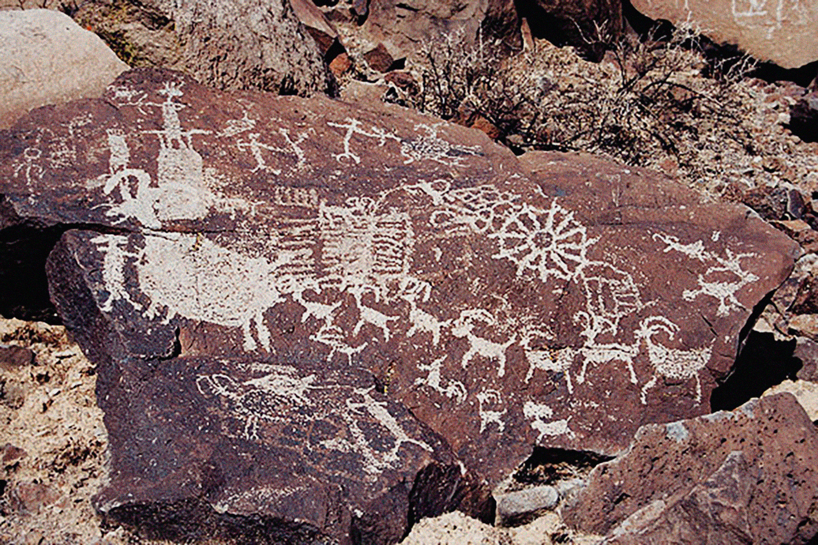 Bighorn sheep and geometric symbols