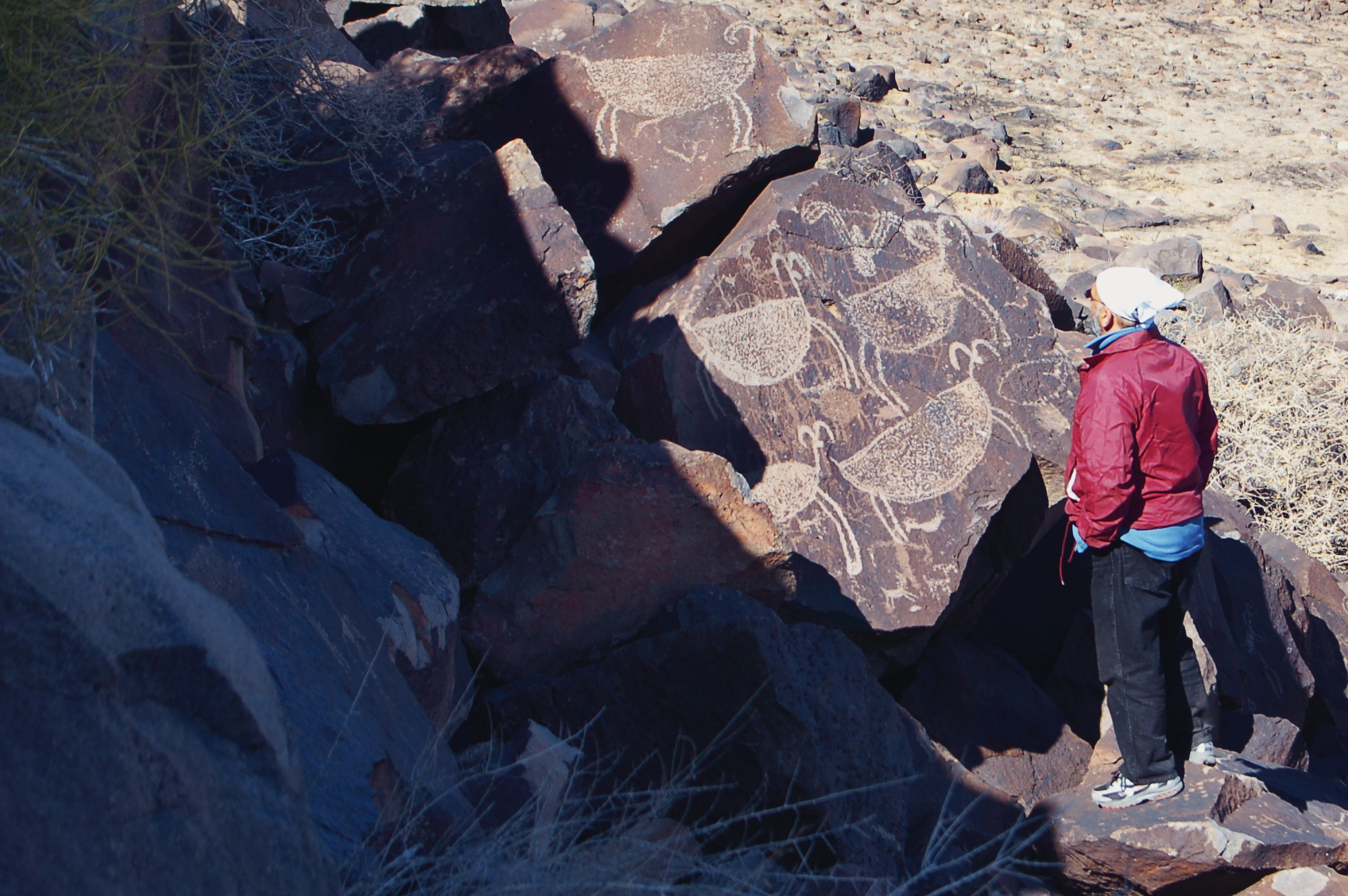 Dr. Alan P. Garfinkel 
Examining bighorn sheep petroglyphs Bradshaw Foundation