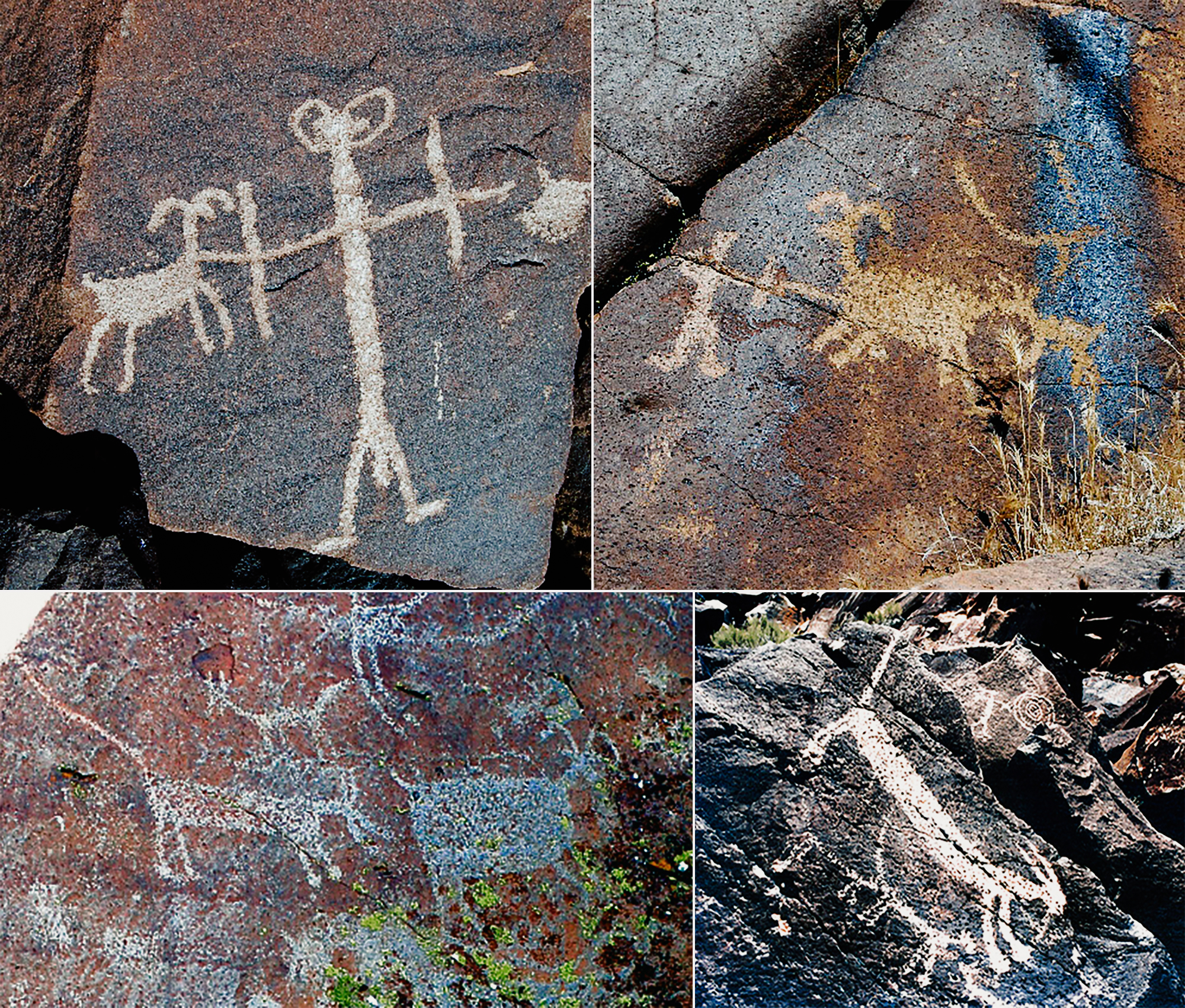 (Clockwise left) Bow & arrow armed hunters attacking sheep from Sheep Canyon. Bow & arrow armed hunters attacking sheep from Renegade Canyon. Coso Mountain Lions. Mountain lions attacking sheep  from Renegade Canyon.