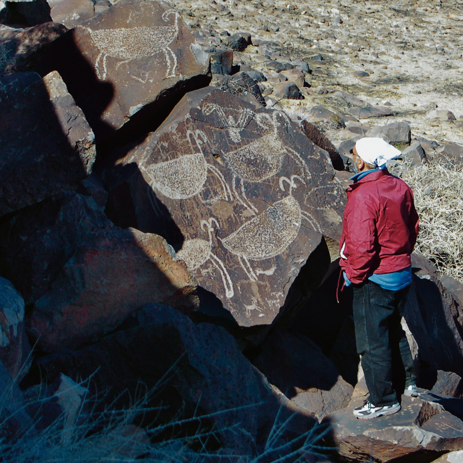 Rock Art Engravings Coso Range Petroglyphs Pictographs Bradshaw Foundation Archaeology Sheep Bighorn Cult California USA America United States Rockart