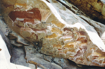 African Rock Art Africa Archaeology Petroglyphs