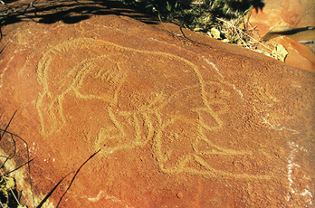 African Rock Art Africa Archaeology Petroglyphs
