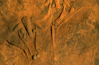 African Rock Art Africa Archaeology Petroglyphs