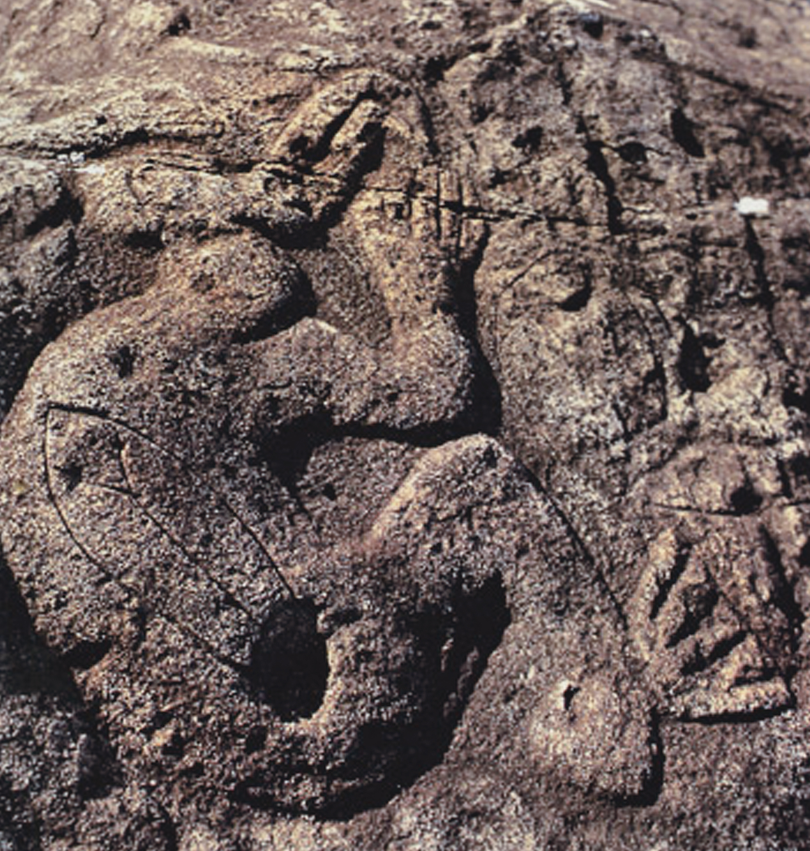 Birdman Mata Ngarau Orongo Rock Art Easter Island Landscape Rapa Nui Moai Archaeology Bradshaw Foundation