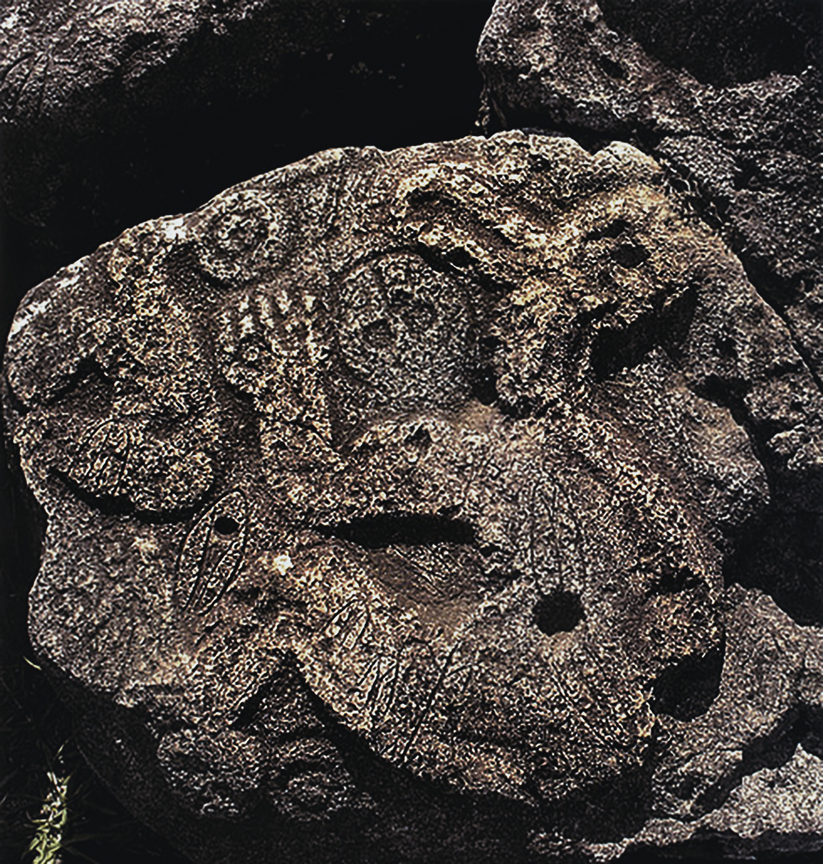 Birdman Mata Ngarau Orongo Rock Art Easter Island Rapa Nui Moai Archaeology Bradshaw Foundation
