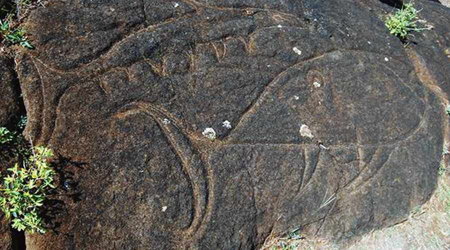 Sea Marine Creatures in Easter Island Rock Art