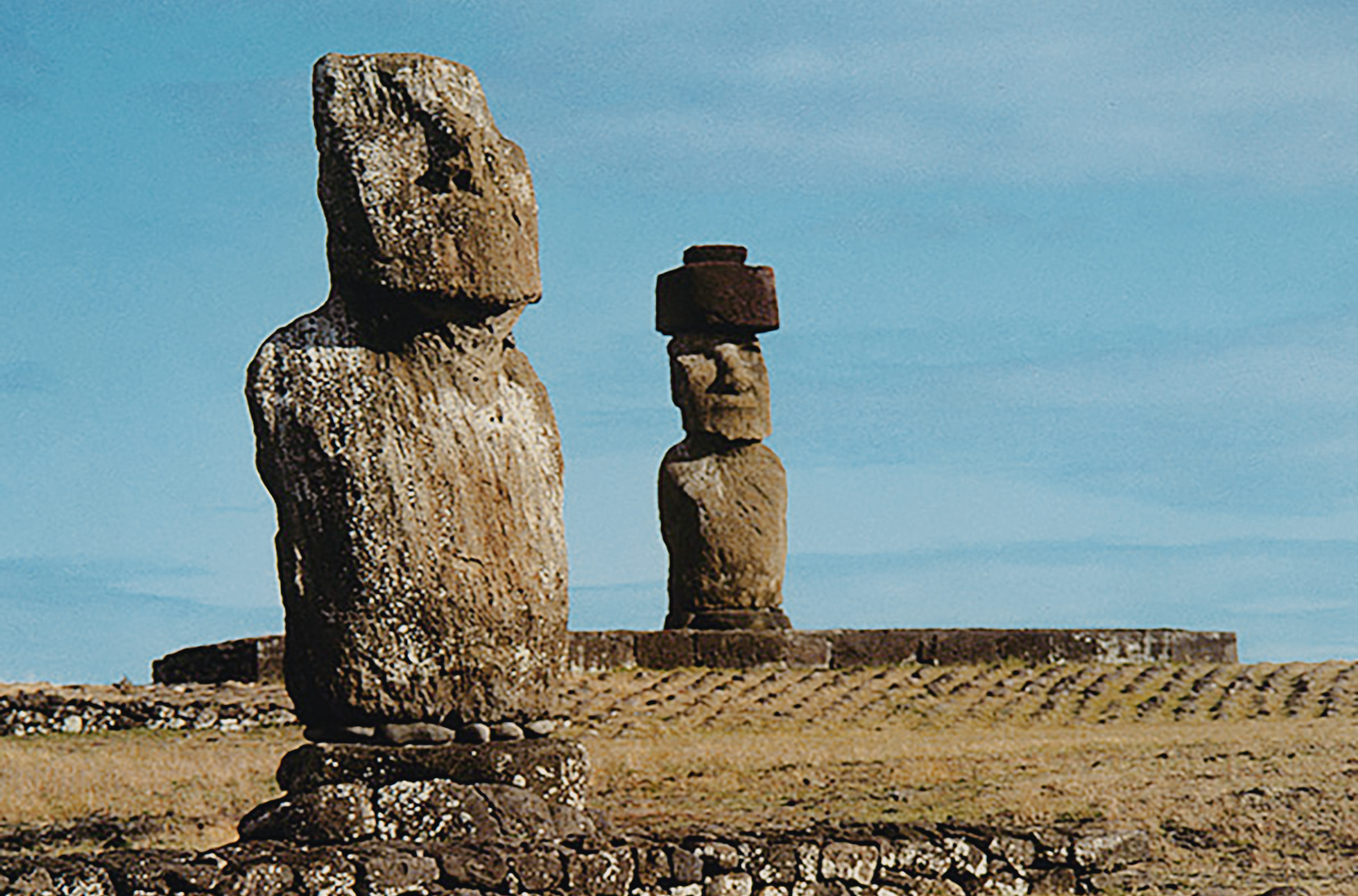 Illustration of Moai in Easter Island Graphic by rkawashima33 · Creative  Fabrica