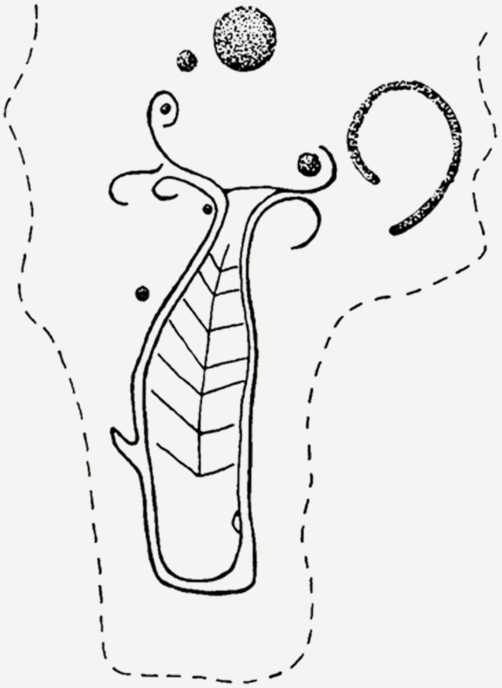 Whale Hua Rapa Nui Sea Marine Creatures Easter Island Rock Art