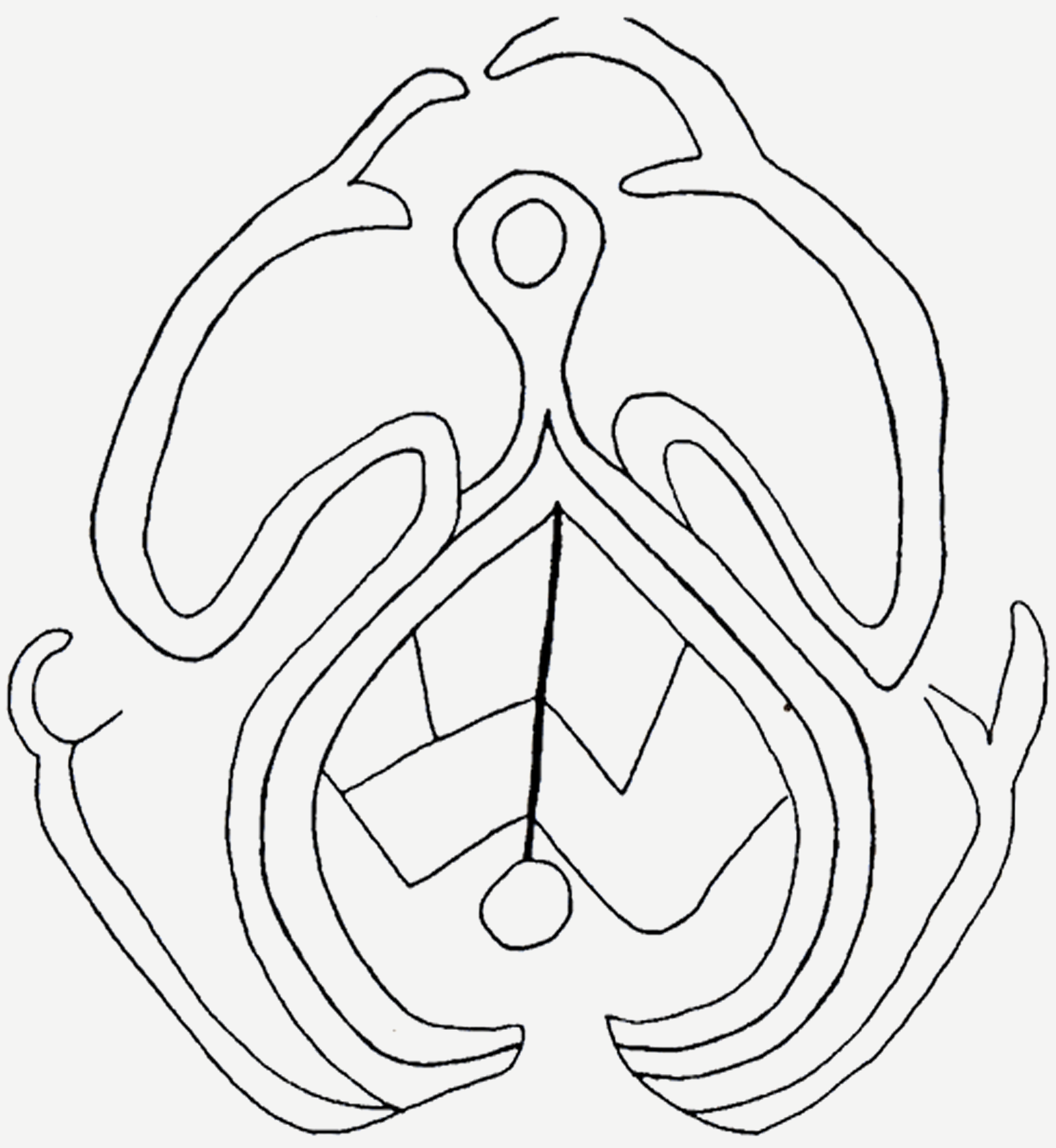 Ral Pikea Anakena area Rapa Nui Sea Marine Creatures Easter Island Rock Art