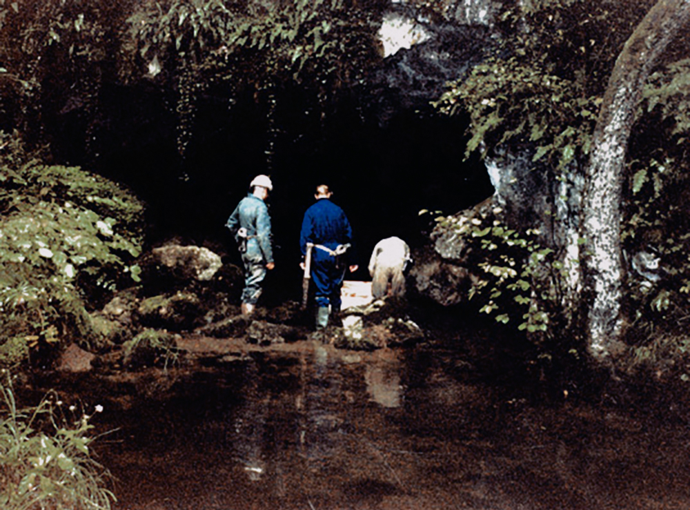 Bradshaw Foundation visit to view the c. 14,000 year old Bull and Cow Bison found in the Le Tuc d'Audoubert cave, Ariege, France