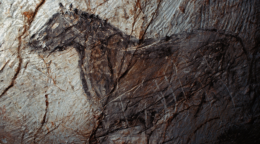 Cosquer Cave Art Paintings Palaeolithic Paleolithic France French Bradshaw Foundation