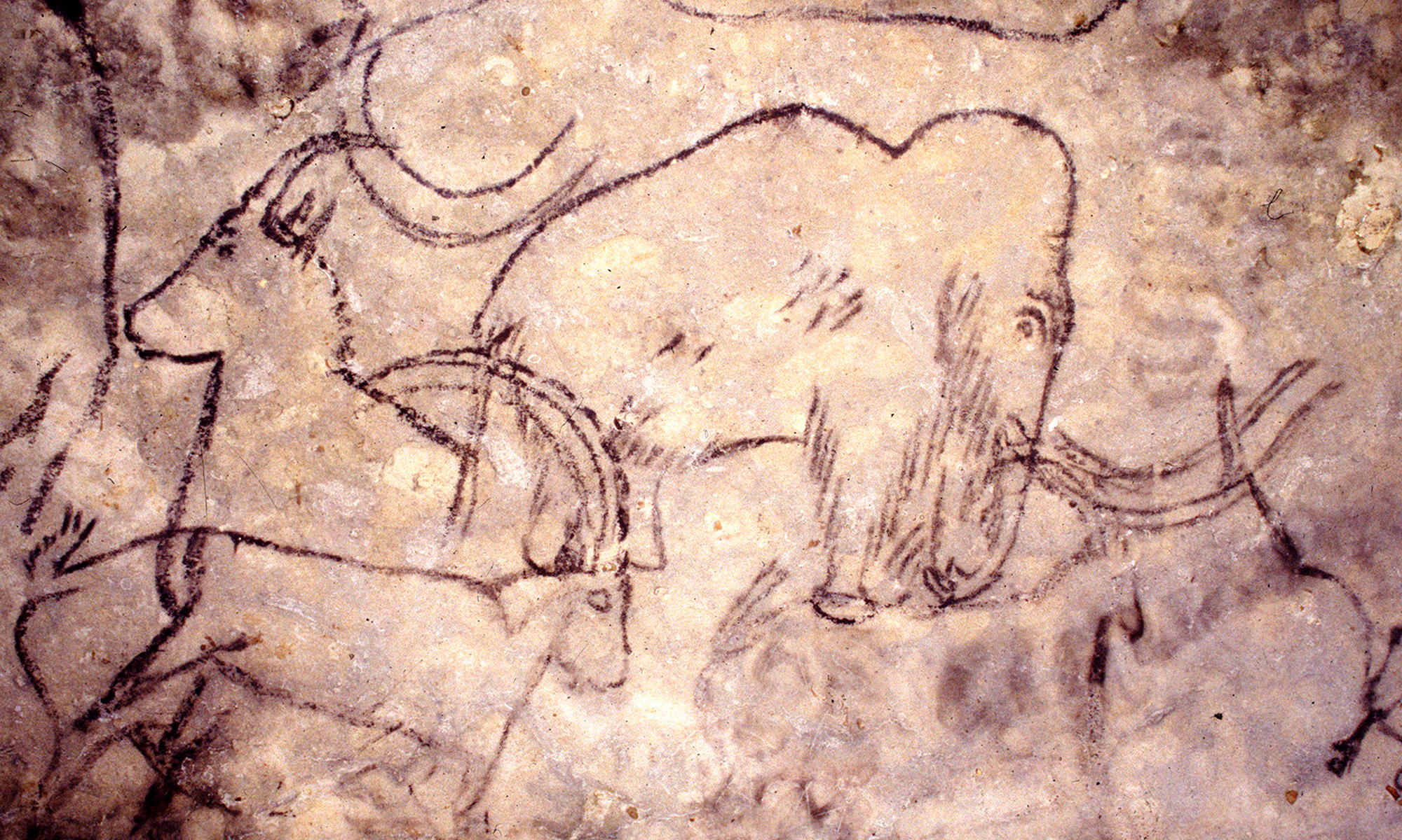 Rouffignac Cave - The Cave of the Hundred Mammoths