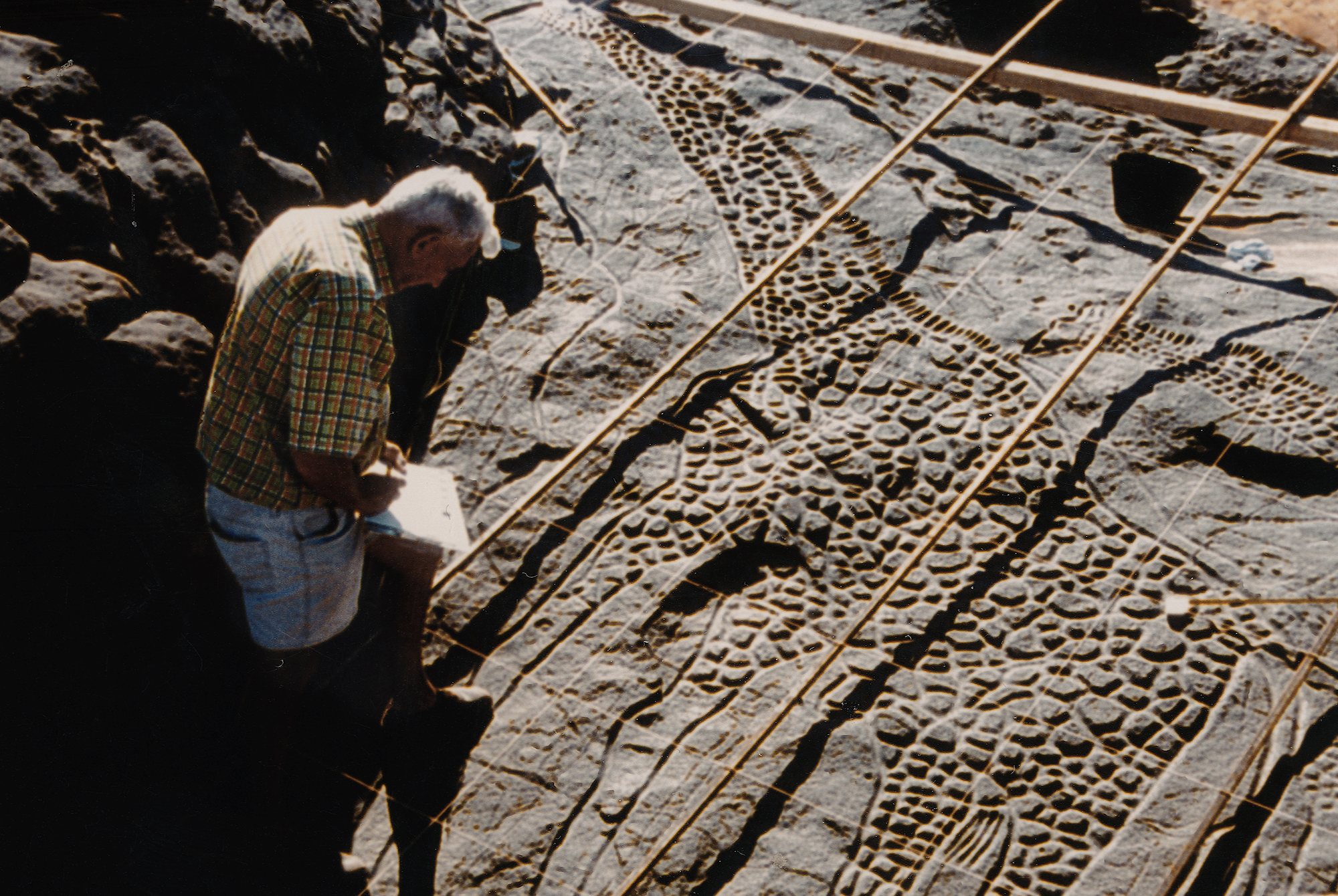 Rock Art Carvings Giraffe Giraffes Africa Niger Dabous Petroglyph Petroglyphs