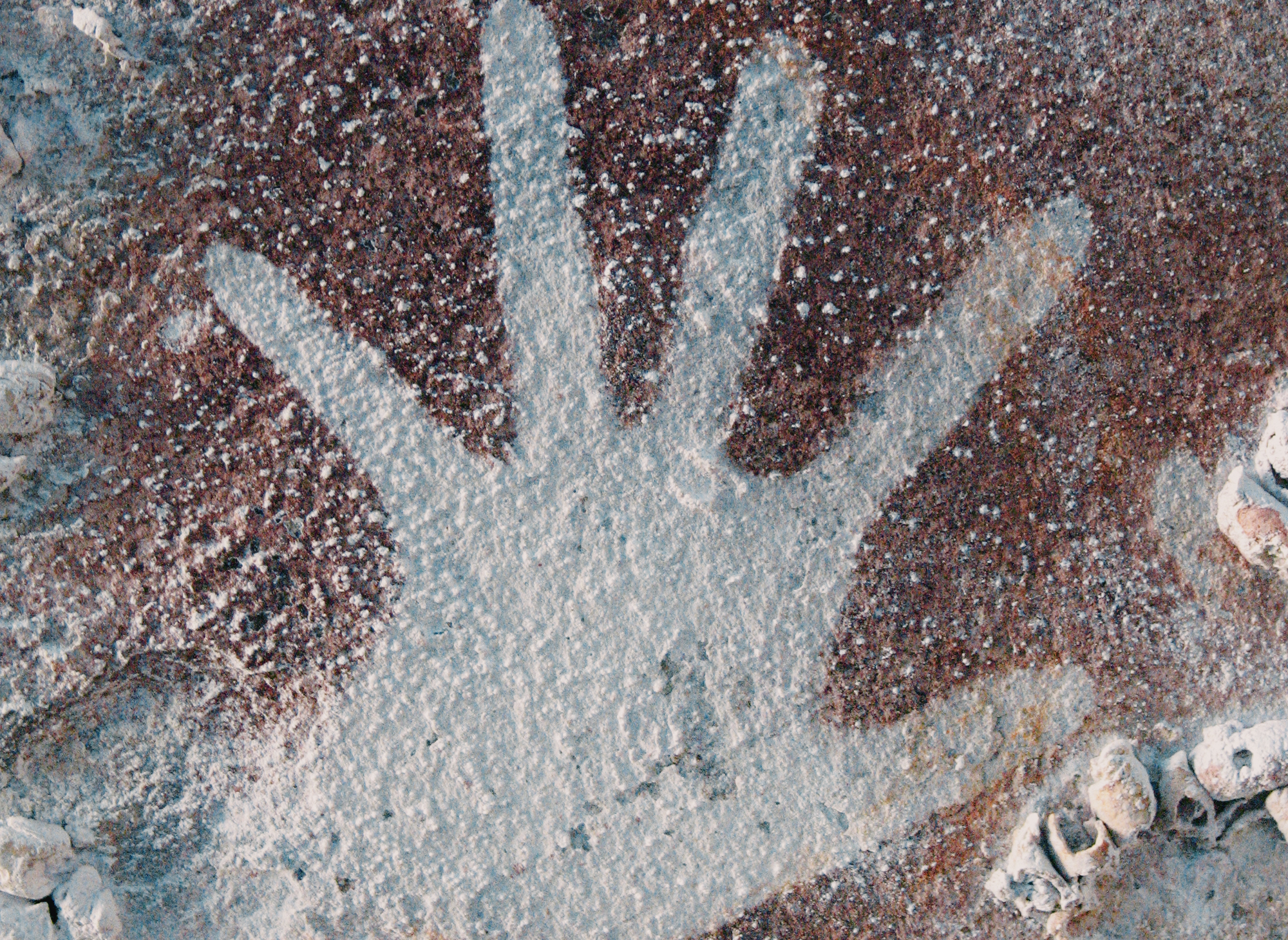 Handprints Australia Hand Hands Mofif Symbol Rock Art Archaeology