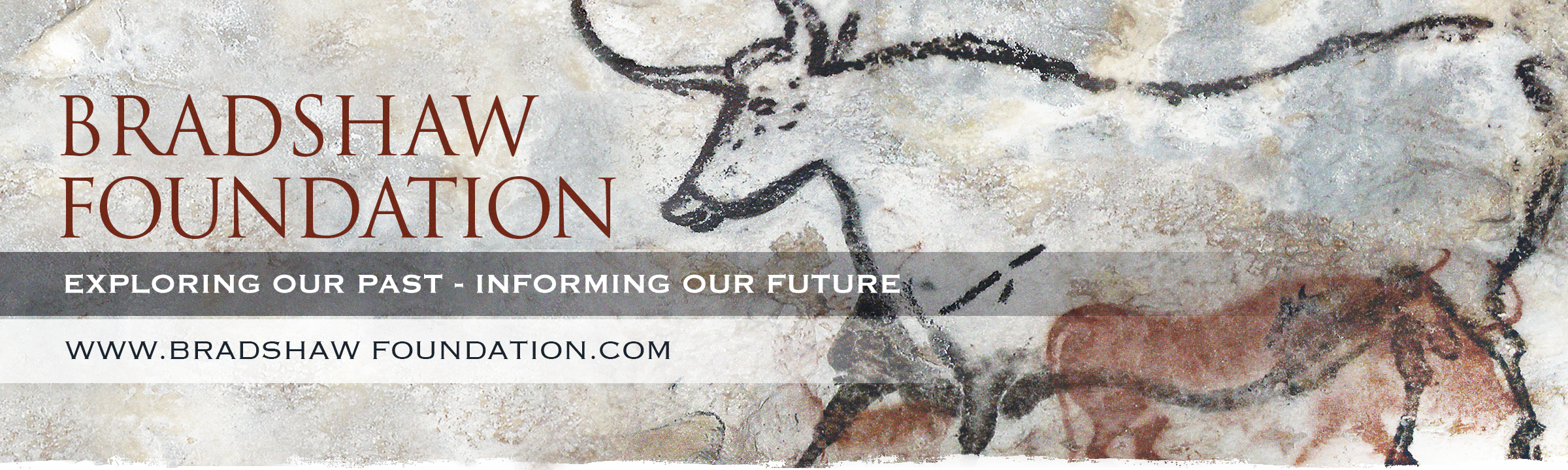 The Rock Art Network