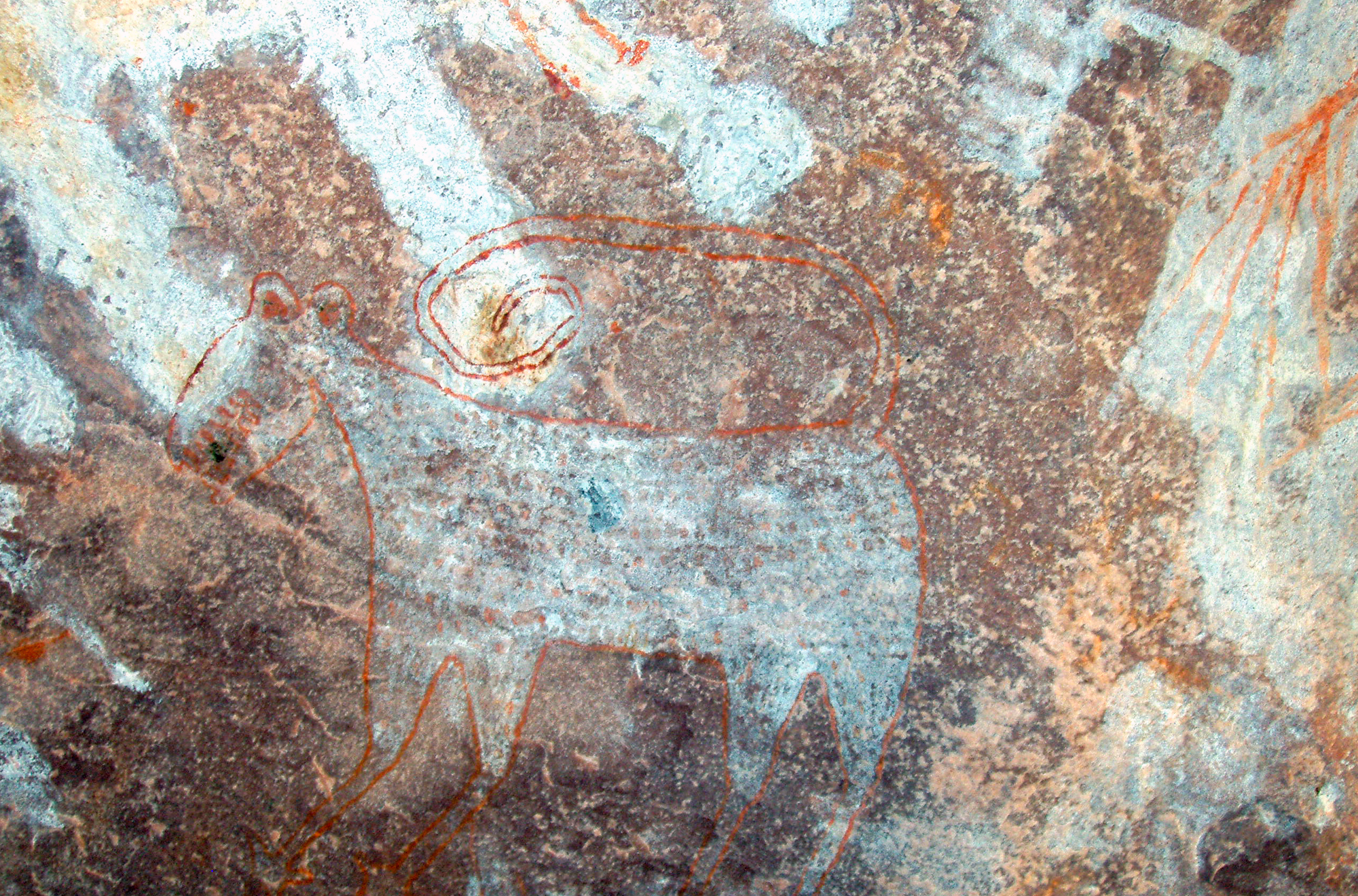 India Rock Art Cave Paintings Characteristics Bradshaw Foundation