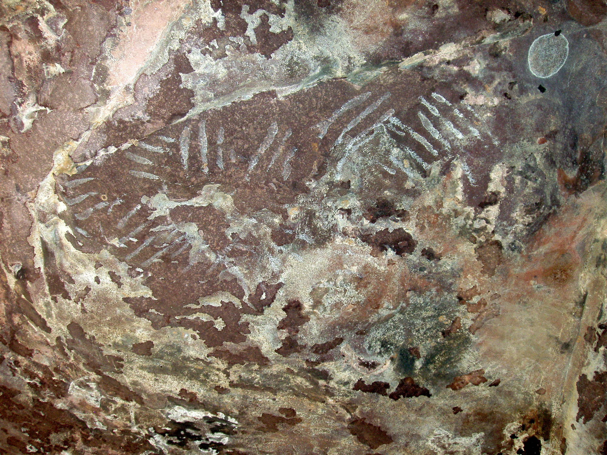 India Rock Art Cave Paintings Characteristics Bradshaw Foundation