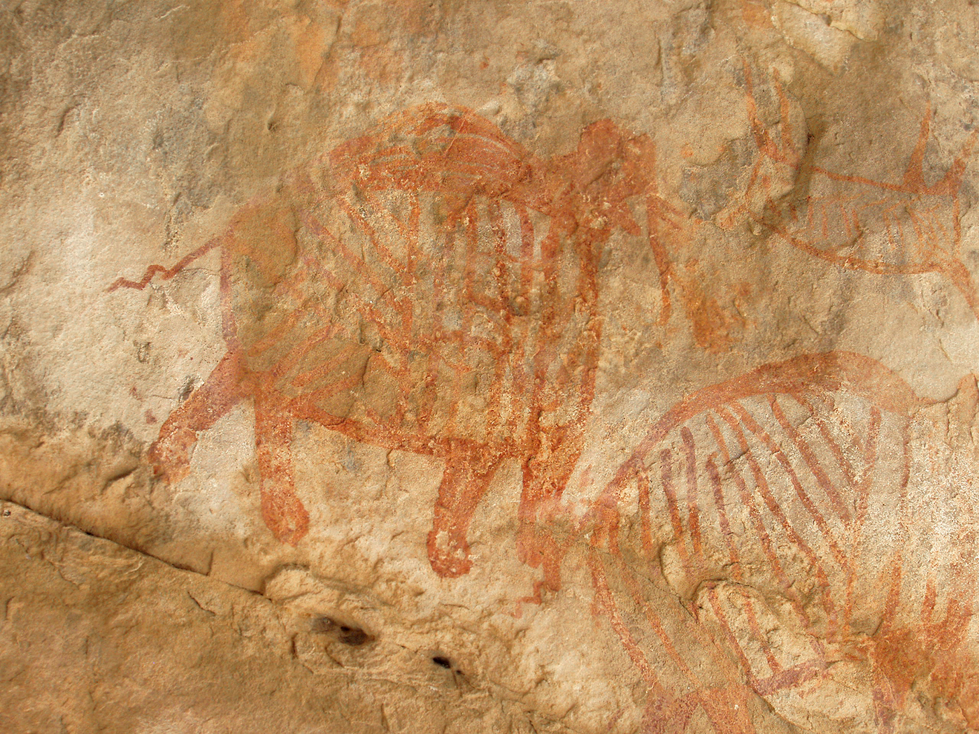 The Rock Art Paintings Of Central India