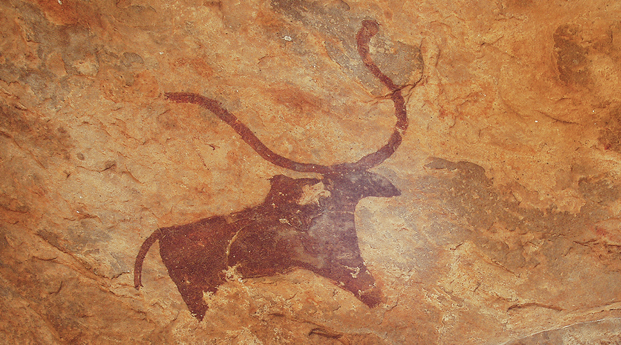 Rock Art Central India Archaeology