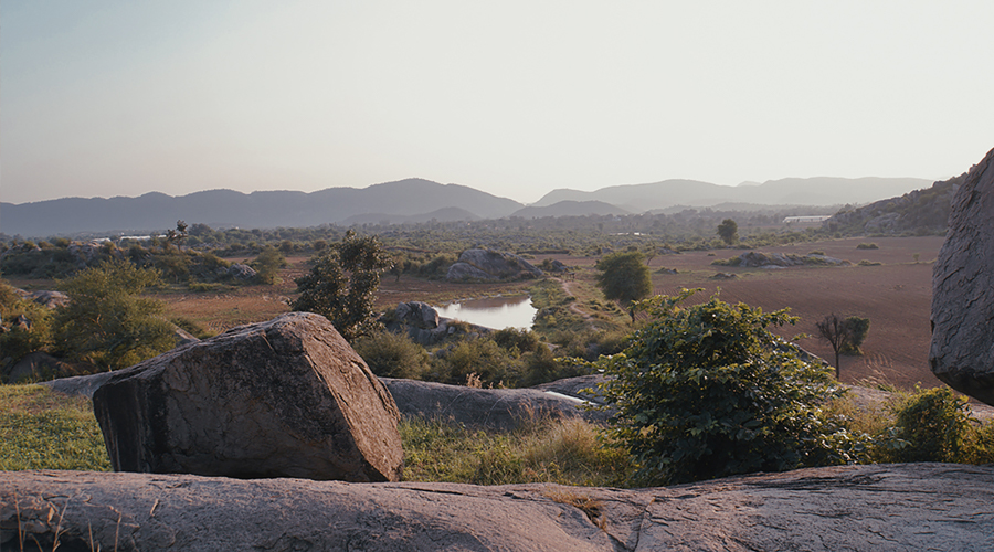 Cupules and Vulvas in the Alwar area, Rajasthan