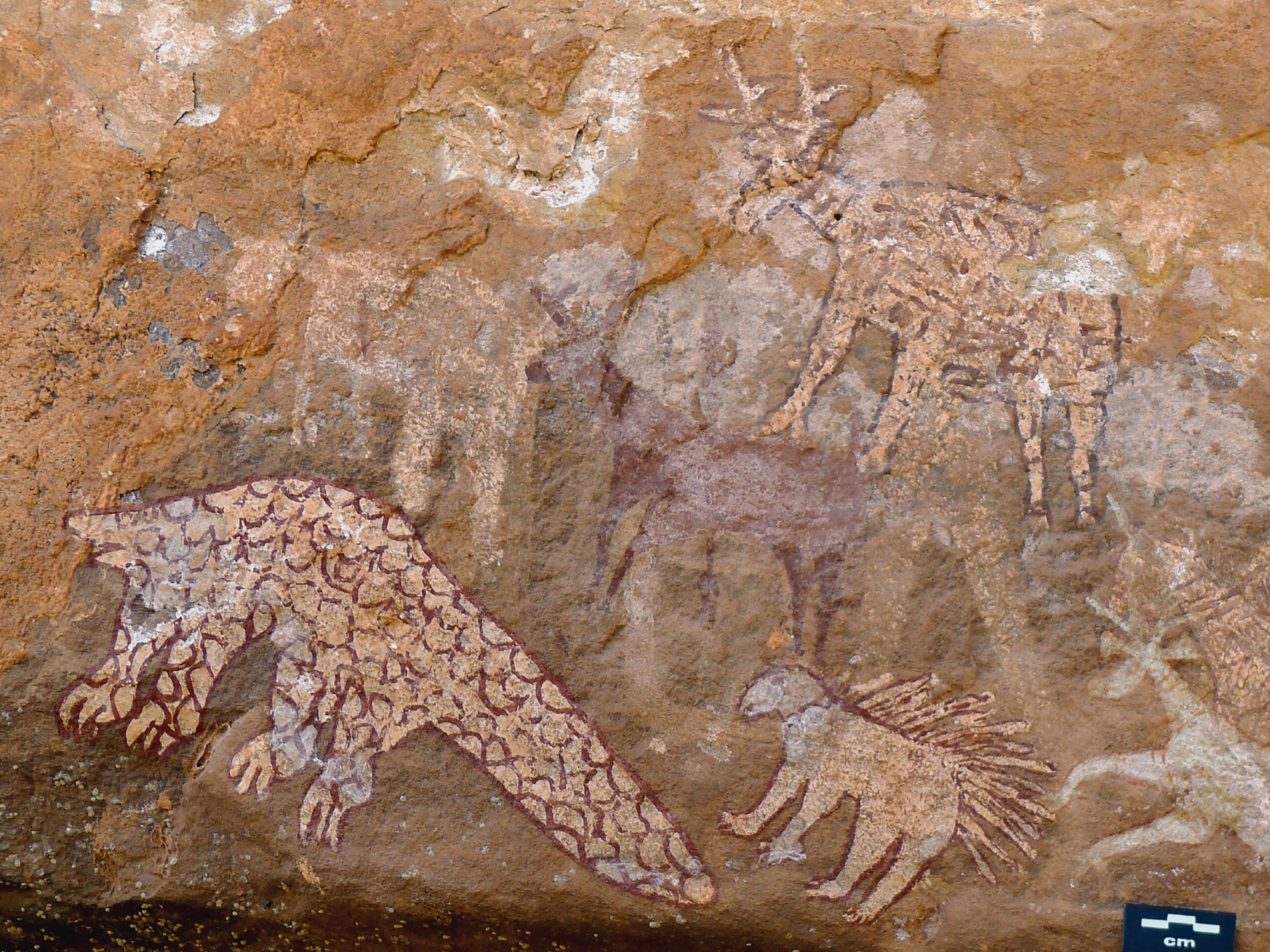 India Prehistoric Rock Art Paintings Pachmarhi Hills