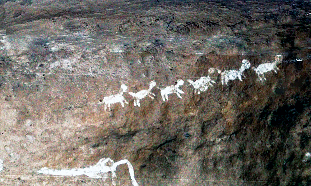 Goats Bradshaw Foundation Rock Art Paintings Pachmarhi Hills India Prehistoric Prehistory Archaeology