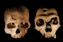 Cro-Magnon1 L'homme de la Chapelle-aux-Saints Musée de l'Homme, Paris