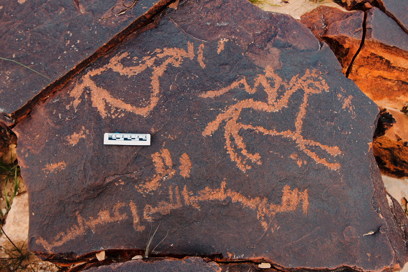 Rock Art in the Negev Desert Bradshaw Foundation