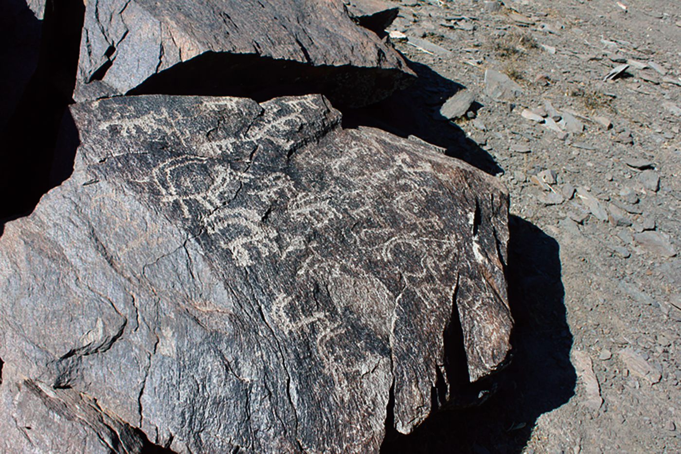 Ibex Motif Iran Iranian Rock Art Bradshaw Foundation