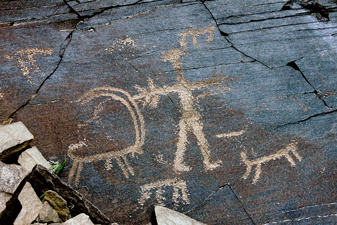 Ibex Motif Iran Iranian Rock Art Bradshaw Foundation