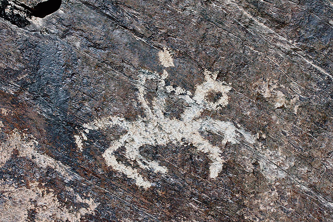 Ibex Motif Iran Iranian Rock Art Bradshaw Foundation